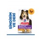 Hill’s Scıence Plan Adult Medium Sensitive Stomach & Skin Chicken Hassas Yetişkin Köpek Maması 2,5 K Hill’s Scıence Plan Adult Medium Sensitive Stomach & Skin Chicken Hassas Yetişkin Köpek Maması 2,5 K