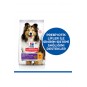 Hill’s Scıence Plan Adult Medium Sensitive Stomach & Skin Chicken Hassas Yetişkin Köpek Maması 2,5 K Hill’s Scıence Plan Adult Medium Sensitive Stomach & Skin Chicken Hassas Yetişkin Köpek Maması 2,5 K