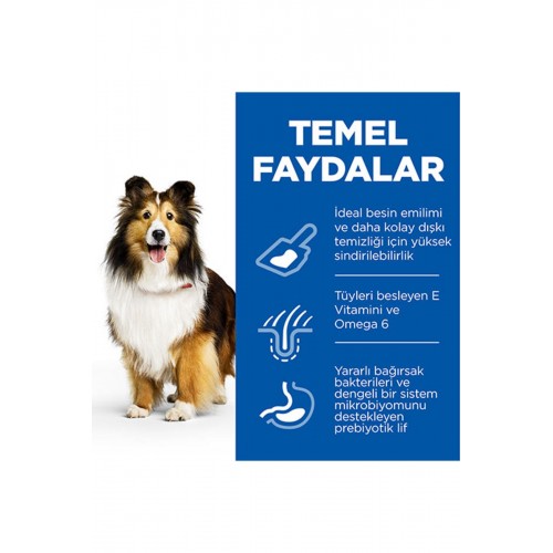 Hill’s Scıence Plan Adult Medium Sensitive Stomach & Skin Chicken Hassas Yetişkin Köpek Maması 2,5 K Hill’s Scıence Plan Adult Medium Sensitive Stomach & Skin Chicken Hassas Yetişkin Köpek Maması 2,5 K