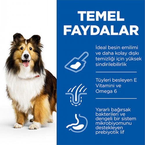 Hill’s Scıence Plan Adult Medium Sensitive Stomach & Skin Chicken Hassas Yetişkin Köpek Maması 2,5 K Hill’s Scıence Plan Adult Medium Sensitive Stomach & Skin Chicken Hassas Yetişkin Köpek Maması 2,5 K