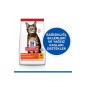 Hill’s Scıence Plan Optimal Care Tavuklu Yetişkin Kedi Maması 3 Kg Hill’s Scıence Plan Optimal Care Tavuklu Yetişkin Kedi Maması 3 Kg