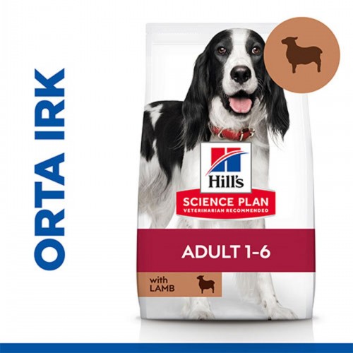 Hill’s Scıence Plan Adult Medium Lamb & Rice Orta Irk Kuzulu Yetişkin Köpek Maması 2,5 Kg