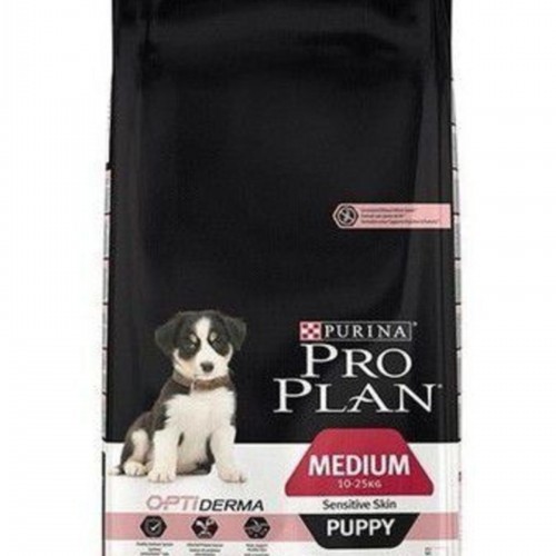 Medium Puppy  Somonlu 12 Kg