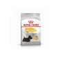 Ccn Mini Dermacomfort Adult Küçük Irk Yetişkin Köpek Maması 3 Kg Ccn Mini Dermacomfort Adult Küçük Irk Yetişkin Köpek Maması 3 Kg