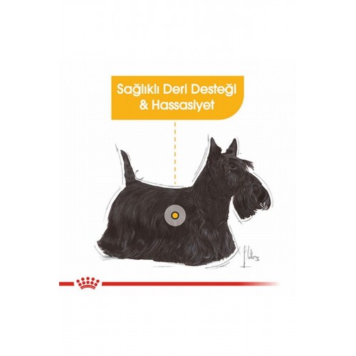 Ccn Mini Dermacomfort Adult Küçük Irk Yetişkin Köpek Maması 3 Kg Ccn Mini Dermacomfort Adult Küçük Irk Yetişkin Köpek Maması 3 Kg
