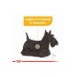 Ccn Mini Dermacomfort Adult Küçük Irk Yetişkin Köpek Maması 3 Kg Ccn Mini Dermacomfort Adult Küçük Irk Yetişkin Köpek Maması 3 Kg