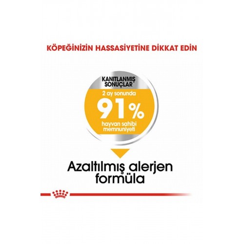 Ccn Mini Dermacomfort Adult Küçük Irk Yetişkin Köpek Maması 3 Kg Ccn Mini Dermacomfort Adult Küçük Irk Yetişkin Köpek Maması 3 Kg