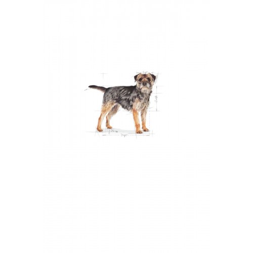 Mini Küçük Irk Kısırlaştırılmış Köpek Maması 3kg Mini Küçük Irk Kısırlaştırılmış Köpek Maması 3kg