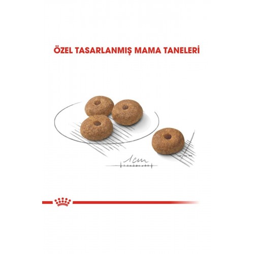 Mini Küçük Irk Kısırlaştırılmış Köpek Maması 3kg Mini Küçük Irk Kısırlaştırılmış Köpek Maması 3kg