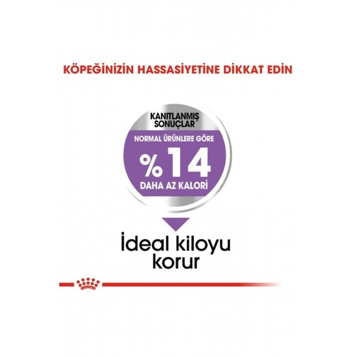 Mini Küçük Irk Kısırlaştırılmış Köpek Maması 3kg Mini Küçük Irk Kısırlaştırılmış Köpek Maması 3kg