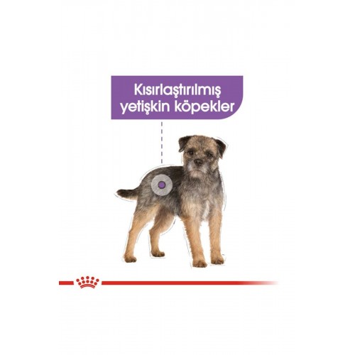 Mini Küçük Irk Kısırlaştırılmış Köpek Maması 3kg Mini Küçük Irk Kısırlaştırılmış Köpek Maması 3kg