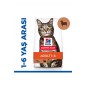 Hill’s Scıence Plan Adult Lamb Kuzulu Yetişkin Kedi Maması 1,5 Kg Hill’s Scıence Plan Adult Lamb Kuzulu Yetişkin Kedi Maması 1,5 Kg