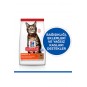 Hill’s Scıence Plan Adult Lamb Kuzulu Yetişkin Kedi Maması 1,5 Kg Hill’s Scıence Plan Adult Lamb Kuzulu Yetişkin Kedi Maması 1,5 Kg