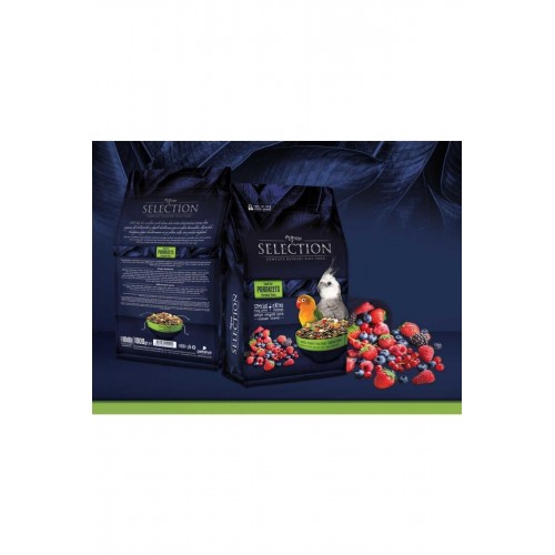 Selection 10 Çeşit Gerçek Meyve Parçalı Paraket Yemi 1 Kg Selection 10 Çeşit Gerçek Meyve Parçalı Paraket Yemi 1 Kg