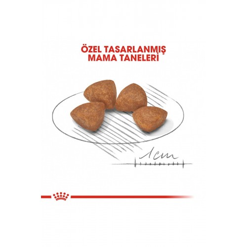 X-small Puppy Yavru Köpek Maması 500 gr X-small Puppy Yavru Köpek Maması 500 gr