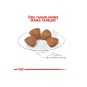 X-small Puppy Yavru Köpek Maması 500 gr X-small Puppy Yavru Köpek Maması 500 gr