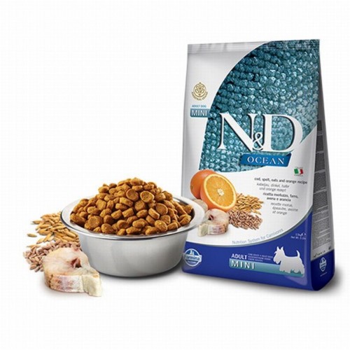 Ocean Morina Balıklı Portakallı Küçük Irk Düşük Tahıllı Yetişkin Köpek Maması 7 Kg