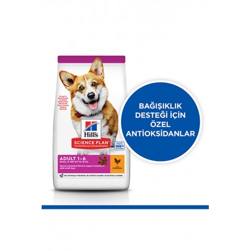 Hill’s Scıence Plan Adult Small & Mini Chicken Küçük Irk Tavuklu Yetişkin Köpek Maması 3 Kg Hill’s Scıence Plan Adult Small & Mini Chicken Küçük Irk Tavuklu Yetişkin Köpek Maması 3 Kg