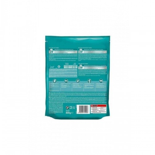 One Tavuklu Yetişkin Kedi Maması 800 gr