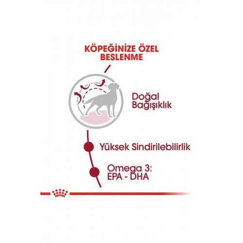 Medium Orta Irk Yetişkin Köpek Maması 15kg Medium Orta Irk Yetişkin Köpek Maması 15kg