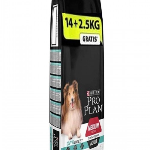 Adult Lamb Kuzu Etli Yetişkin Köpek Maması 14+2,5 Kg