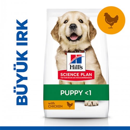 Hill’s Scıence Plan Puppy Large Breed Chicken Büyük Irk Tavuklu Yavru Köpek Maması 2,5 Kg