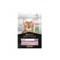 Delicate Kuzu Hassas Sindirim Kedi Maması 10 kg Delicate Kuzu Hassas Sindirim Kedi Maması 10 kg