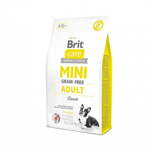 Care Tahılsız Mini Adult Kuzulu Köpek Maması 2 Kg Care Tahılsız Mini Adult Kuzulu Köpek Maması 2 Kg