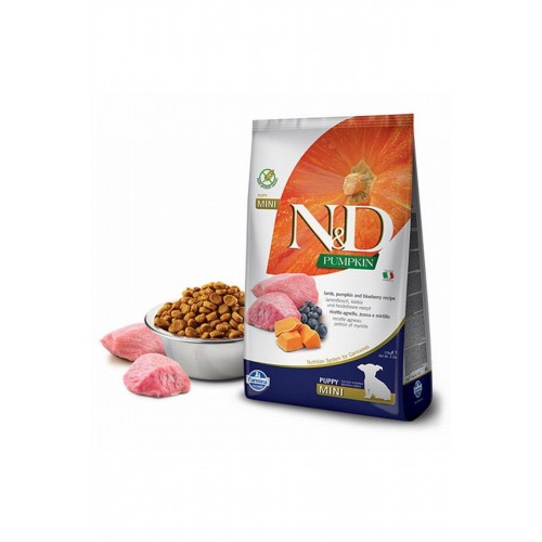 Pumpkin Balkabaklı Kuzulu Yaban Mersinli Küçük Irk Tahılsız Yavru Köpek Maması 2,5 Kg Pumpkin Balkabaklı Kuzulu Yaban Mersinli Küçük Irk Tahılsız Yavru Köpek Maması 2,5 Kg