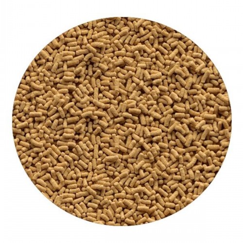 Pond Stick Havuz Balığı Yemi 1 Lt Pond Stick Havuz Balığı Yemi 1 Lt