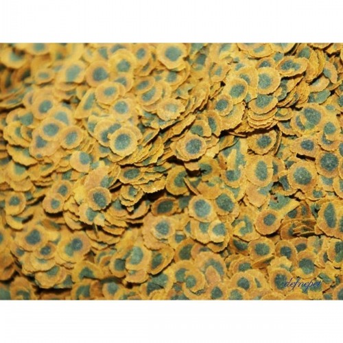 Pro Algae 10lt / 1900gram Pro Algae 10lt / 1900gram