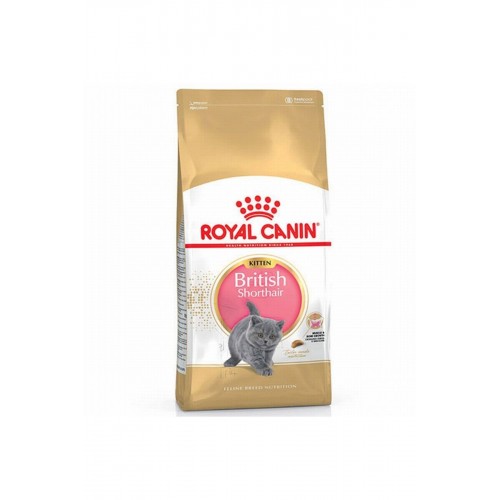 British Shorthair Kitten Yavru Kedi Maması 2 Kg British Shorthair Kitten Yavru Kedi Maması 2 Kg