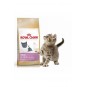 British Shorthair Kitten Yavru Kedi Maması 2 Kg British Shorthair Kitten Yavru Kedi Maması 2 Kg