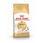 Sphynx Yetişkin Kedi Maması 2kg Sphynx Yetişkin Kedi Maması 2kg