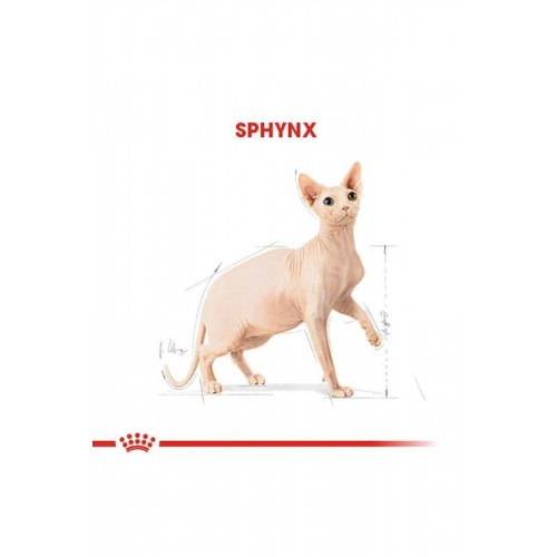 Sphynx Yetişkin Kedi Maması 2kg Sphynx Yetişkin Kedi Maması 2kg