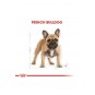French Bulldog Yetişkin Köpek Maması 3kg French Bulldog Yetişkin Köpek Maması 3kg