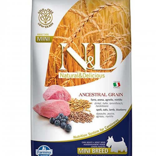 Low Grain Adult Mini Kuzulu/yaban Mersinli Köpek Maması 2,5 Kg Low Grain Adult Mini Kuzulu/yaban Mersinli Köpek Maması 2,5 Kg