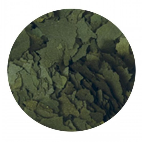 Super Spirulina Forte 12gr Super Spirulina Forte 12gr