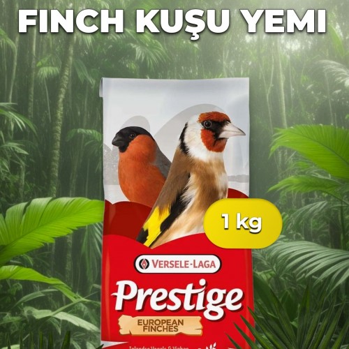 European Finches Finch Yemi 1 Kg