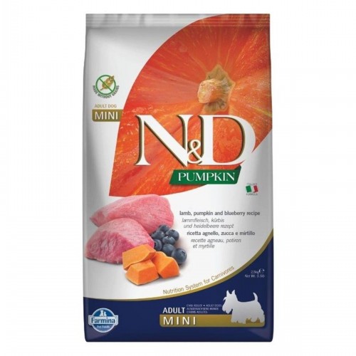 Pumpkin Tahılsız Kuzu & Yabanmersini Küçük Irk Yetişkin Köpek Maması 2,5 Kg Pumpkin Tahılsız Kuzu & Yabanmersini Küçük Irk Yetişkin Köpek Maması 2,5 Kg
