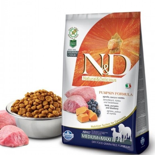 Pumpkin Tahılsız Kuzulu Ve Yaban Mersinli Orta Ve Büyük Irk Yetişkin Köpek Kuru Maması 12 Kg