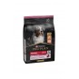Medium Sensitive Skin Adult Somonlu Orta Irk Yetişkin Köpek Maması 3 Kg Medium Sensitive Skin Adult Somonlu Orta Irk Yetişkin Köpek Maması 3 Kg