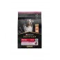 Medium Sensitive Skin Adult Somonlu Orta Irk Yetişkin Köpek Maması 3 Kg Medium Sensitive Skin Adult Somonlu Orta Irk Yetişkin Köpek Maması 3 Kg
