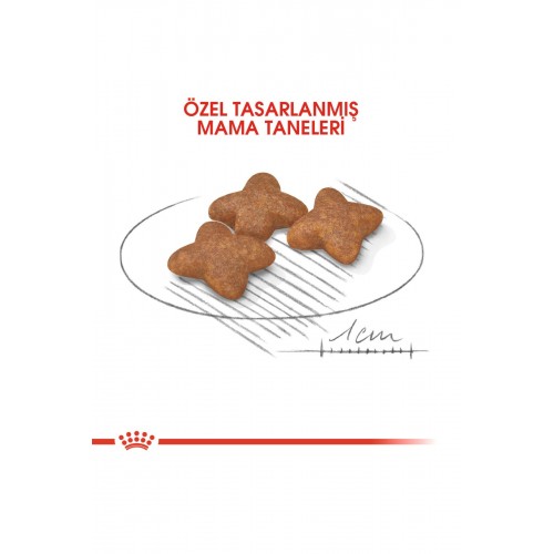 Dog Shn Mini Adult Köpek Maması 4 Kg Dog Shn Mini Adult Köpek Maması 4 Kg