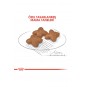 Dog Shn Mini Adult Köpek Maması 4 Kg Dog Shn Mini Adult Köpek Maması 4 Kg
