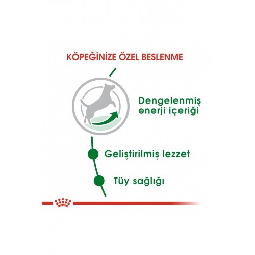 Dog Shn Mini Adult Köpek Maması 4 Kg Dog Shn Mini Adult Köpek Maması 4 Kg