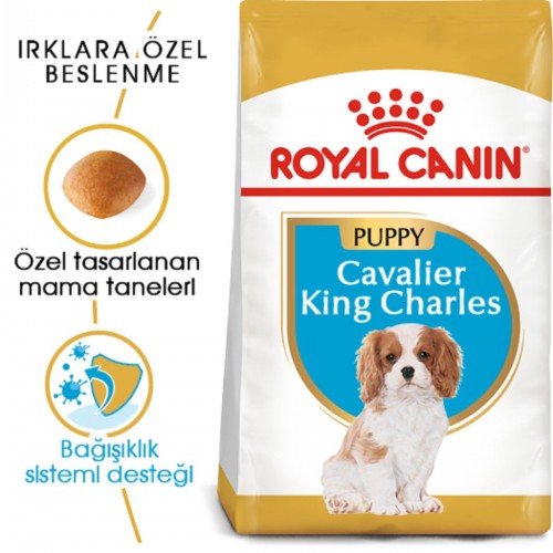 Dog Bhn Cavalier King Yavru Köpek Maması 1,5 Kg