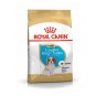 Dog Bhn Cavalier King Yavru Köpek Maması 1,5 Kg Dog Bhn Cavalier King Yavru Köpek Maması 1,5 Kg