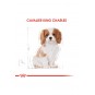 Dog Bhn Cavalier King Yavru Köpek Maması 1,5 Kg Dog Bhn Cavalier King Yavru Köpek Maması 1,5 Kg