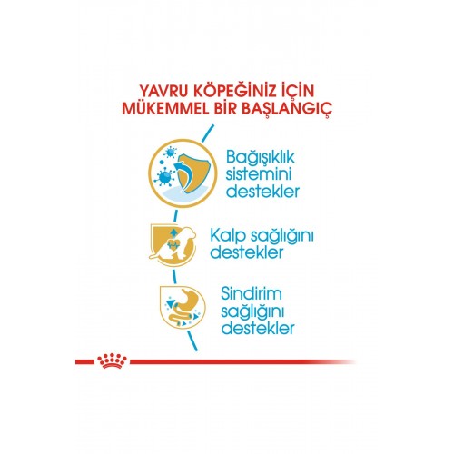 Dog Bhn Cavalier King Yavru Köpek Maması 1,5 Kg Dog Bhn Cavalier King Yavru Köpek Maması 1,5 Kg